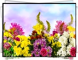 Kwiaty, Kolorowe, Chryzantemy, Grafika