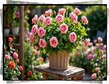 Kwiaty, Róże, Donica
