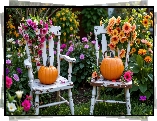 Dwa, Krzesła, Dynie, Kwiaty