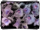 Kwiaty, Fractalius