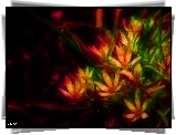 Kwiaty, Fractalius