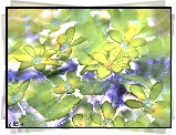Kwiaty, Fractalius