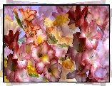 Kwiaty, Mieczyki, Gladiole, Grafika