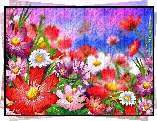 Grafika, 2D, Kolorowe, Kwiaty