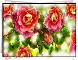 Kwiaty, Róże, Liście, Grafika 2D