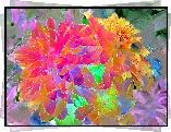 Kolorowe, Kwiaty, Fractalius