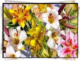 Kwiaty, Kolorowe, Lilie, Grafika