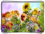 Kwiaty, Słonecznik, Maki, Grafika