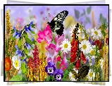 Kwiaty, Czarny, Motyl, Grafika