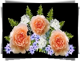 Kwiaty, Róże, Liście, Motyl, 2D