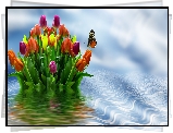 Kwiaty, Tulipany, Motyl, Grafika
