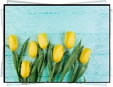 Kwiaty, Żółte, Tulipany, Niebieskie, Deski