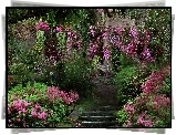 Ogród, Kwiaty, Schody