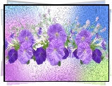 Kwiaty, Petunia ogrodowa, Grafika