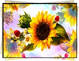 Kwiaty, Słonecznik, Pąk, Grafika