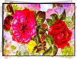Kwiaty, Róża, Paki, Grafika