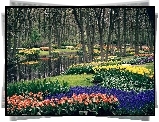 Park, Kwiaty, Strumyk