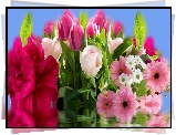 Kwiaty, Róże, Tulipany, Gerbery, Piwonia, Grafika