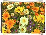 Żółte, Pomarańczowe, Kwiaty, 2D