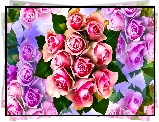 Kwiaty, Bukiet, Róże, Grafika