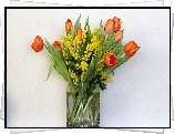 Kwiaty, Tulipany, Akacja srebrzysta, Bukiet