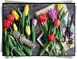 Kwiaty, Tulipany, Nożyce, Sznurek, Gazeta