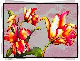 Kwiaty, Czerwono-żółte, Tulipany, Grafika