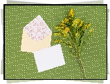 Kwiaty, Nawłoć, Koperta, Kartka, Zielone tło