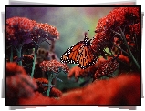 Kwitnące, Kwiaty, Motyl, Monarch