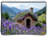Dom, Dach, Kwiaty, Lawenda, Góry, Drzewa