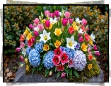 Bukiet, Kwiaty, Tulipany, Lilie, Hortensje, Kamień