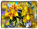 Żółte, Kwiaty, Lilie, Grafika