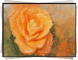 Malarstwo, Akwarela, Żółta, Róża