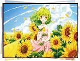 Manga Anime, Dziewczyna, Słoneczniki, Lato