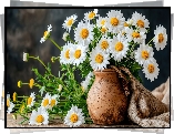 Kwiaty, Margerytki, Gliniany, Wazon, Tkanina