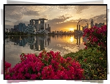 Zatoka Marina Bay, Hotel Marina Bay Sands, Wieżowce, Singapur, Most, Rzeka, Kwiaty, Zachód słońca