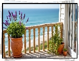 Balkon, Donica, Lawenda, Morze