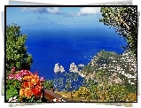 Morze, Skały, Kwiatki, Capri