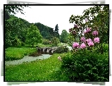 Mostek, Park, Kwiaty, Stourhead, Anglia