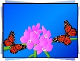 Motyle, Kwiaty