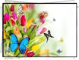 Tulipany, Motyle, Tekstura