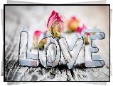 Napis, Love, Kwiatek, Miłość