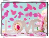 Napis, Love, Róże, Płatki