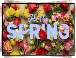 Kwiaty, Kolorowe, Róże, Napis, Hello spring