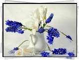Niebieskie, Białe, Kwiaty, Wazon