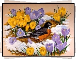 Żółte, Liliowe, Krokusy, Śnieg, Ptak
