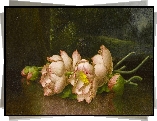Malarstwo, Obraz, Martin Johnson Heade, Kwiaty, Lotosy