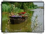 Jezioro, Łódka, Kwiaty