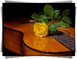 Gitara, Żółta, Róża
