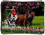 Park, Konie, Bryczka, Tulipany